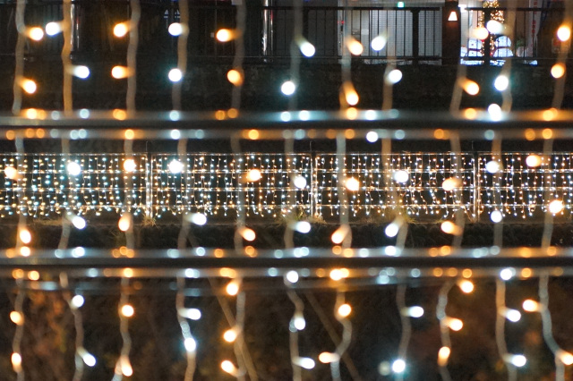 田川イルミネーション_2