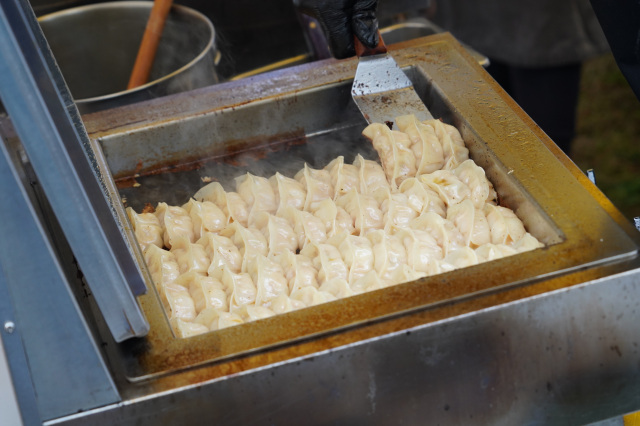 宇都宮餃子祭り_6