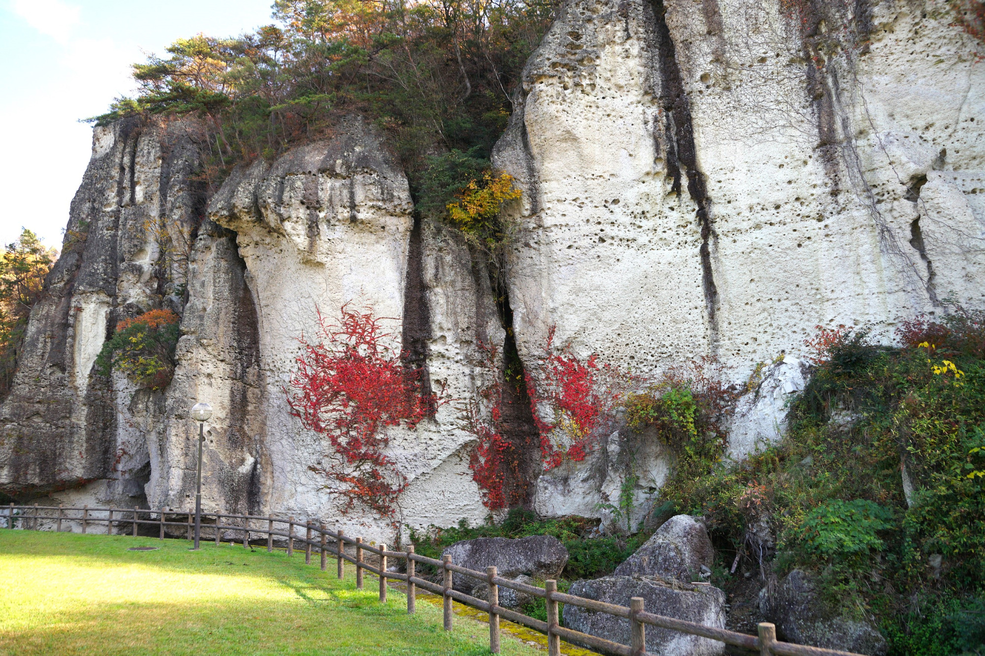 2021年宇都宮の紅葉スポット5選♪