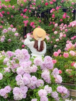 宇都宮PR特使　ひかる