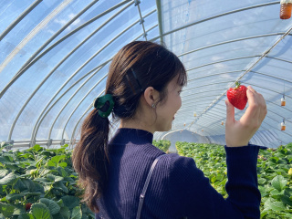 宇都宮市民ライター　花歌