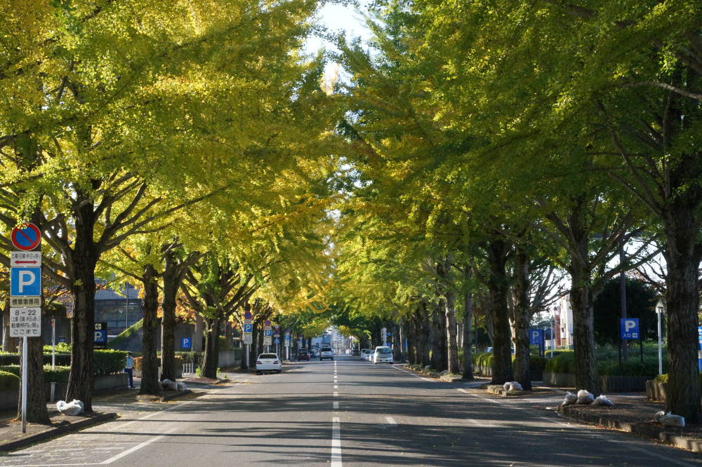 2017年10月31日(火)