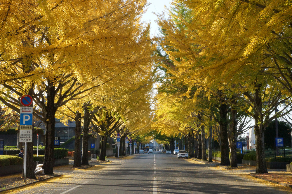 2017年11月13日(月)