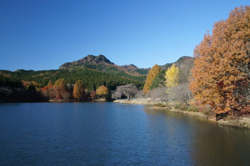 2017年11月21日(火)