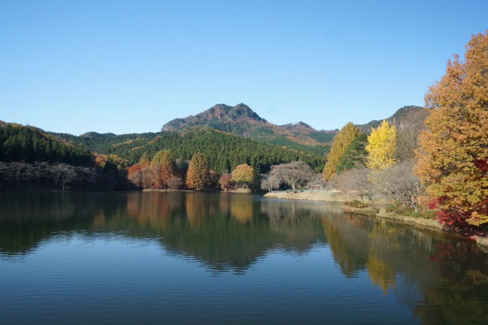 2017年11月17日(金)