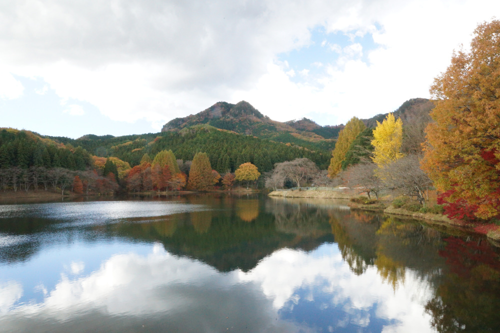 2017年11月16日(木)