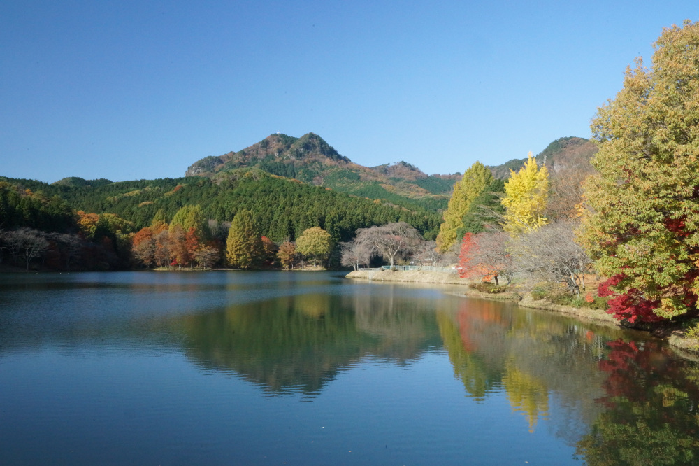 2017年11月13日(月)