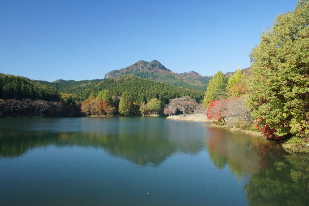 2017年11月7日(火)