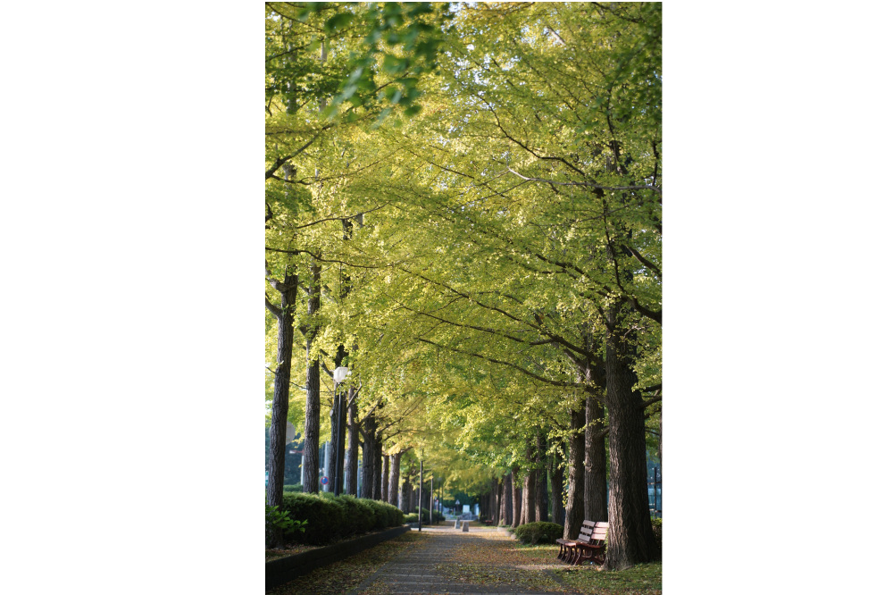 2017年10月27日(金)