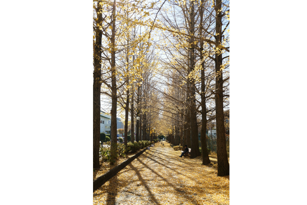 2018年11月30日(金)