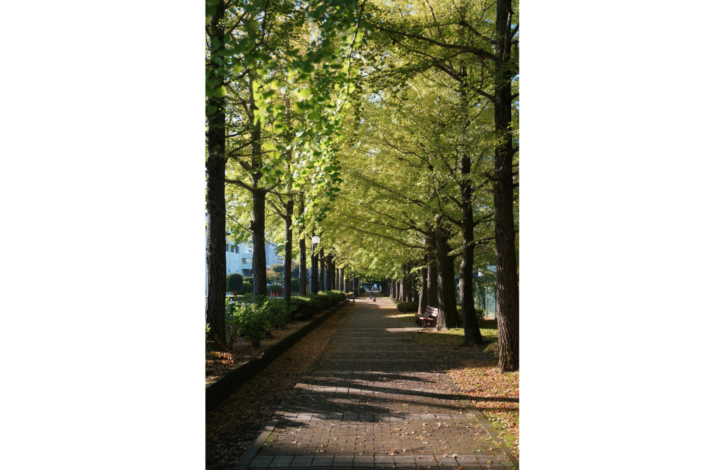 2019年10月29日(月)