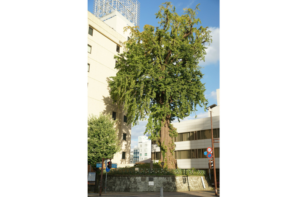 2018年10月28日(日)