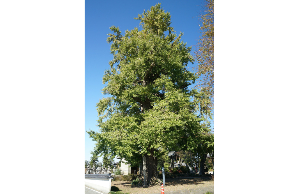 2018年11月2日(金)