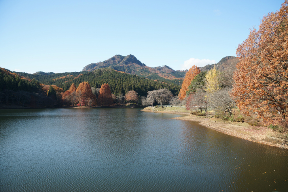 2018年11月30日(金)