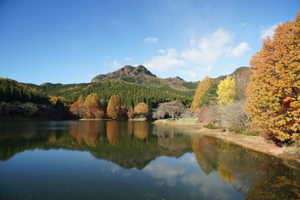 2018年11月23日(金)