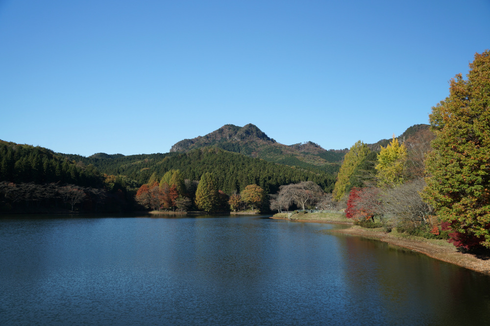 2018年11月15日(木)