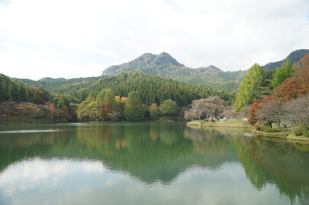 2019年11月4日(月)