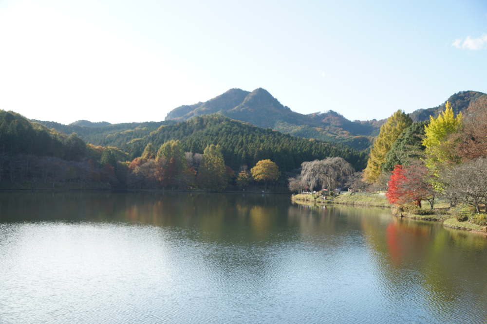 2019年11月17日(日)