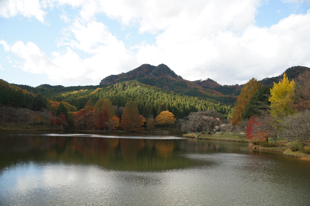 2019年11月20日(水)