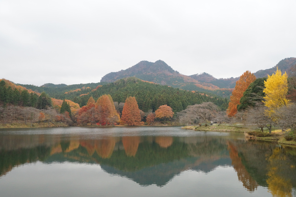 2019年11月26日(火)
