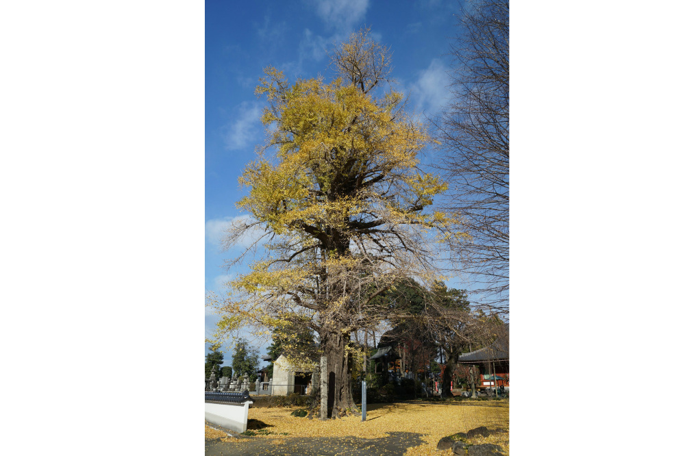 2019年12月5日(木)