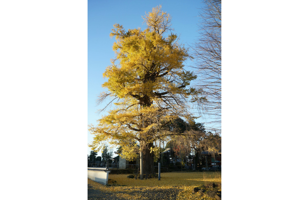 2019年12月3日(火)