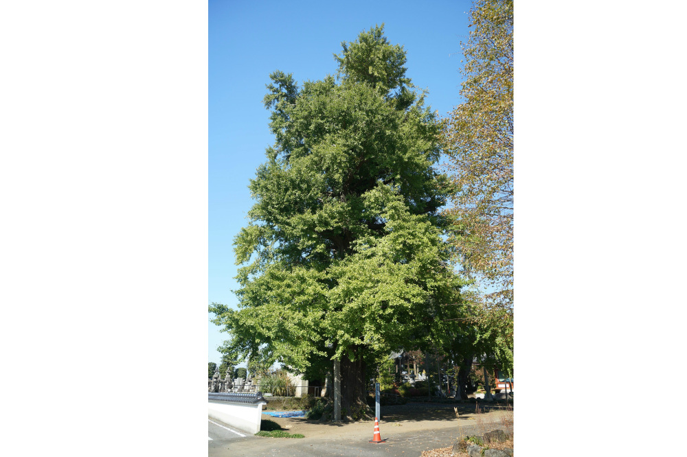 2019年11月12日(火)