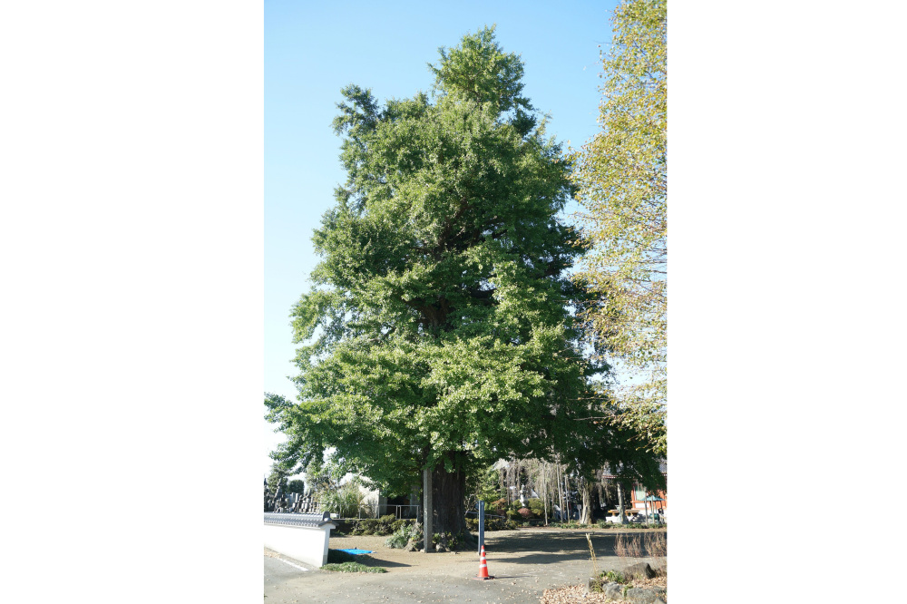 2019年11月6日(水)