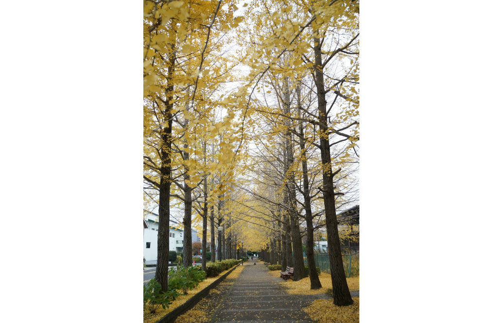 2019年11月27日(水)