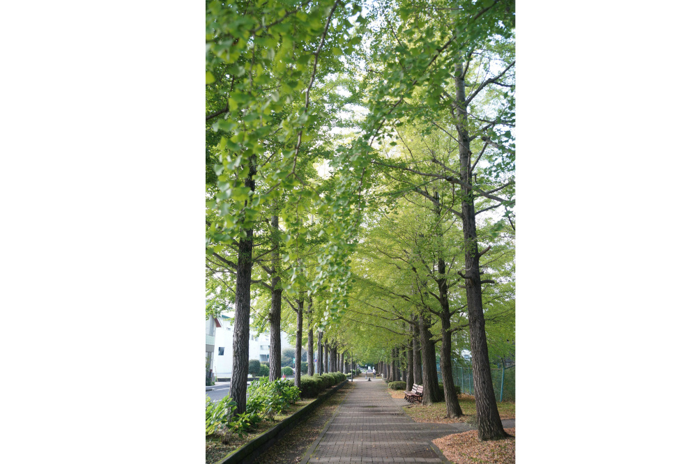 2019年10月28日(月)