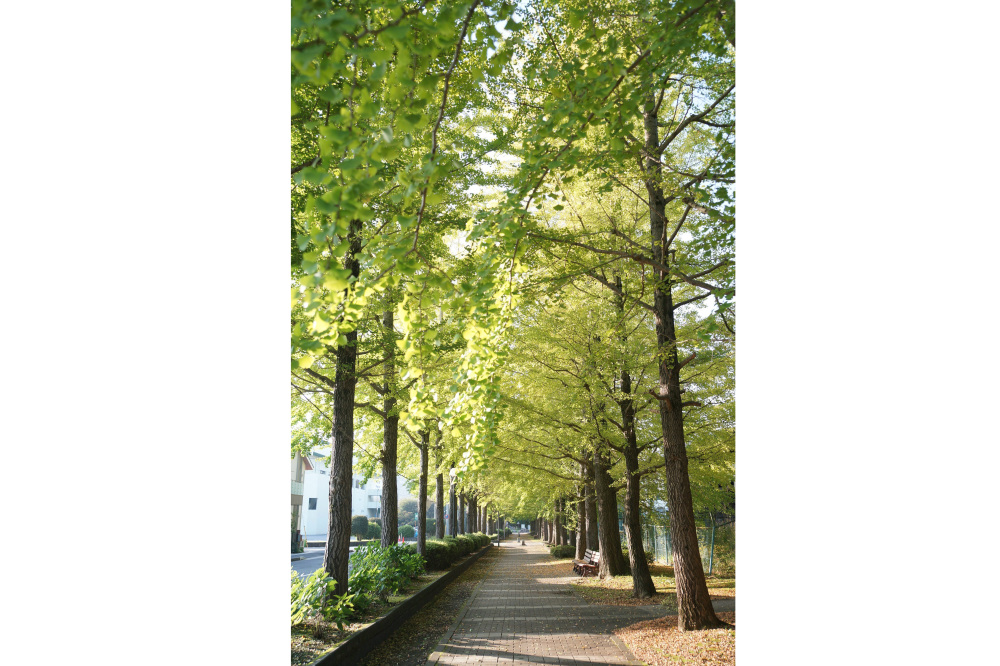 2019年11月1日(金)