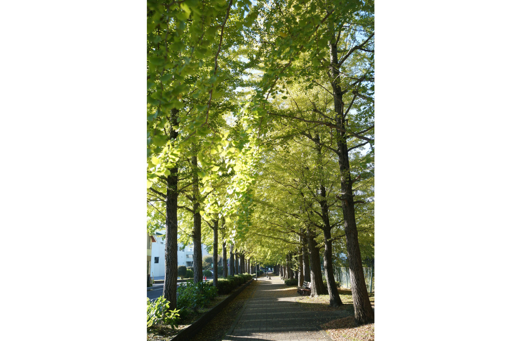 2019年11月5日(火)