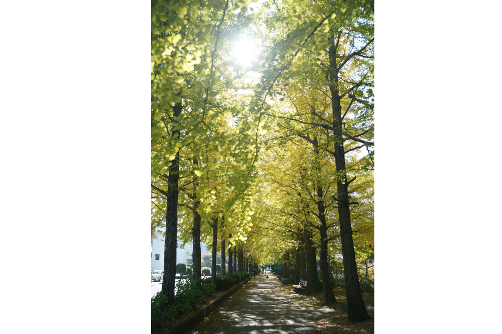 2019年11月12日(火)