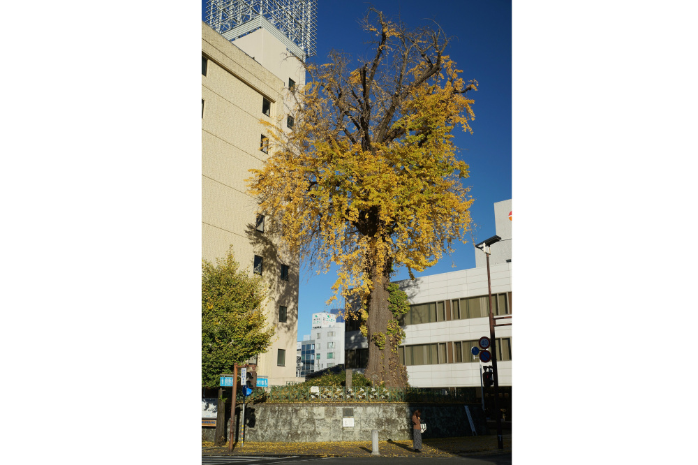 2019年12月3日(火)