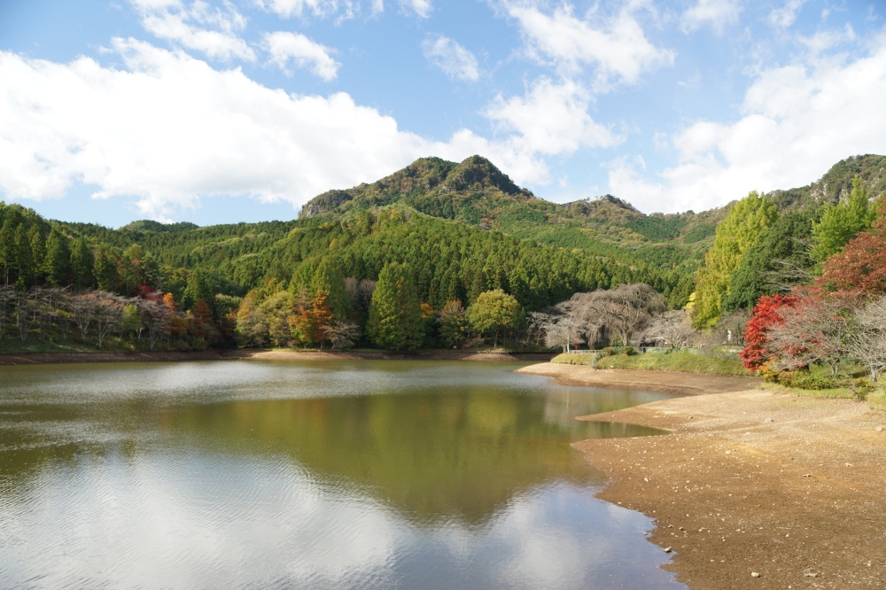 2019年11月4日（水）