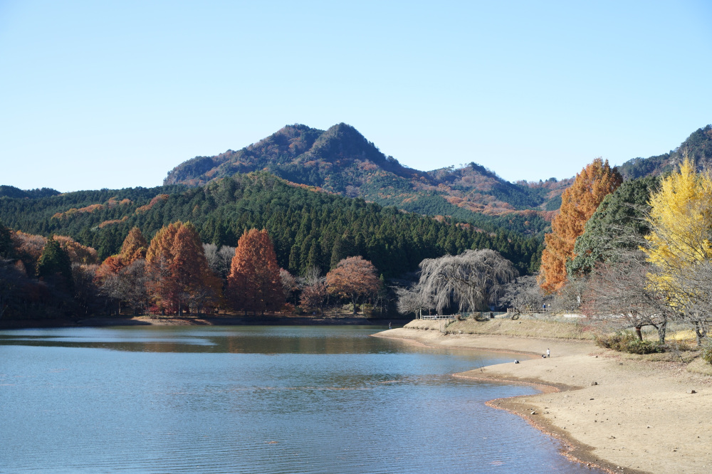 2019年11月21日（土）