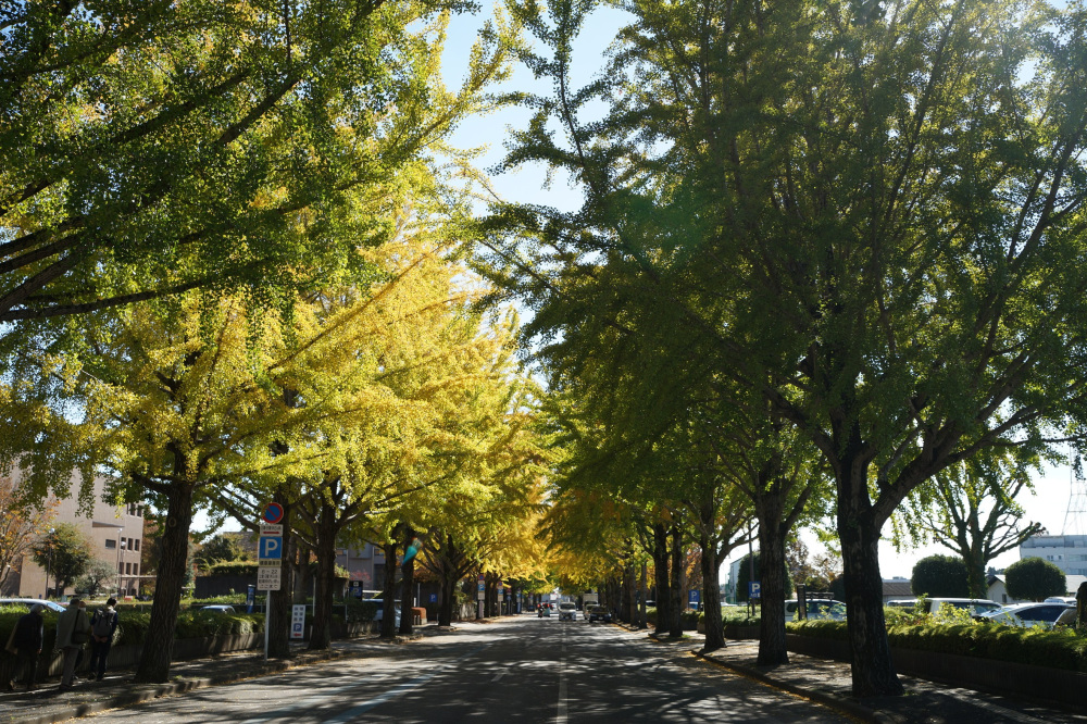 2021年11月6日（土）