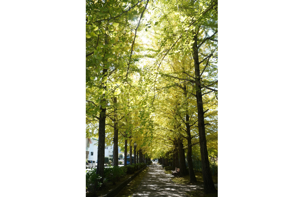 2022年10月31日(月)