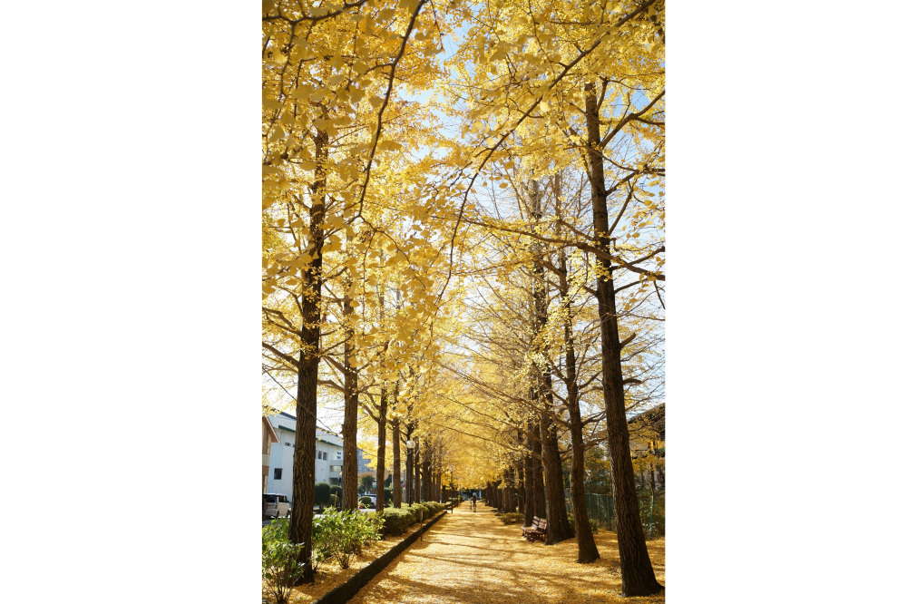 2022年11月17日(木)