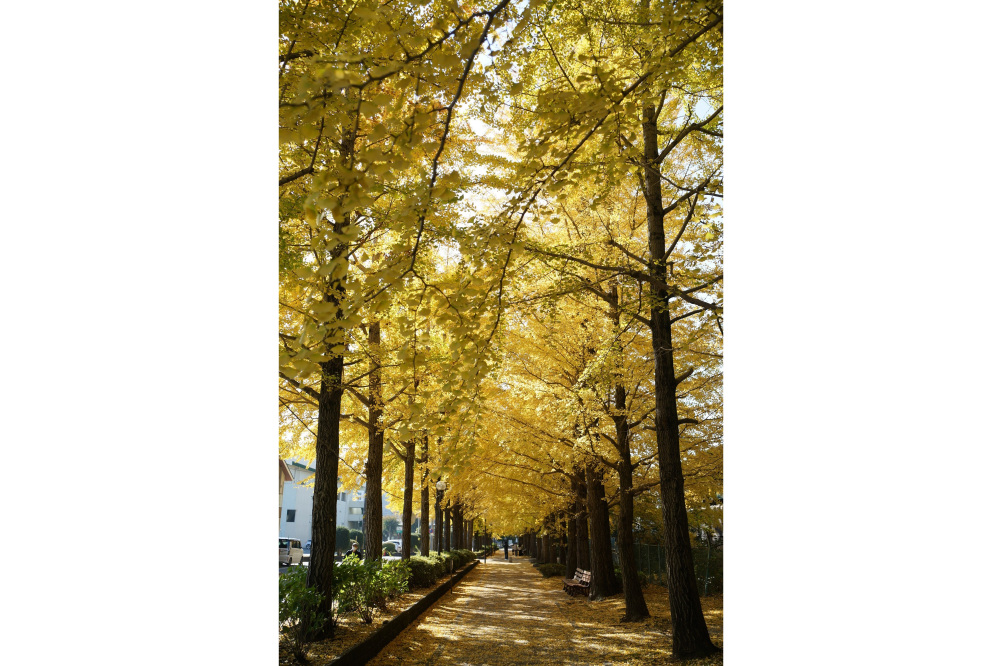 2022年11月10日(木)