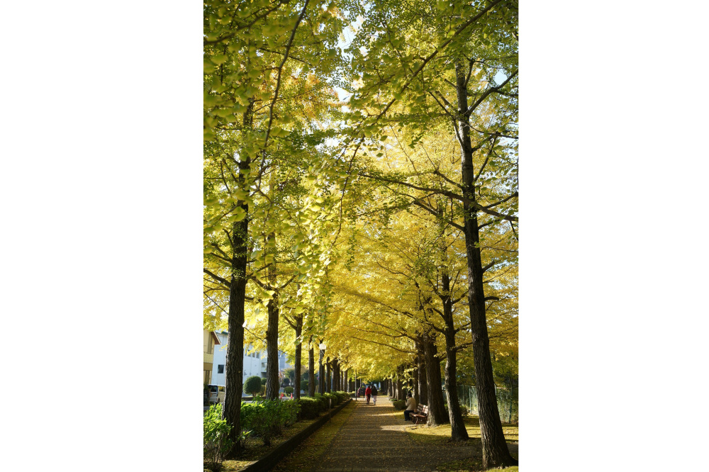 2022年11月3日(木)