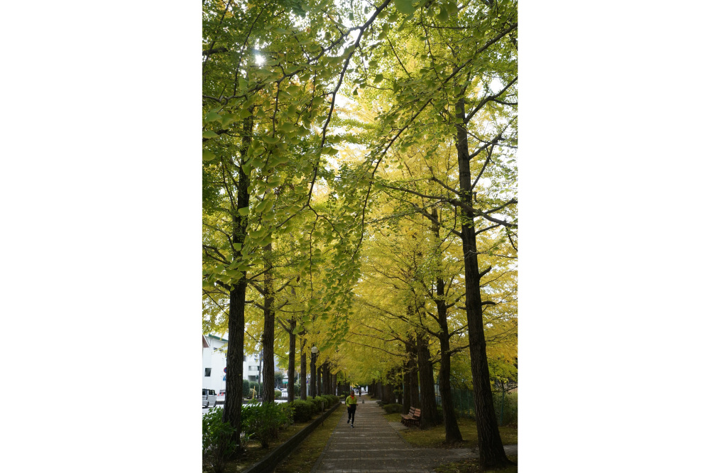 2022年11月1日(火)