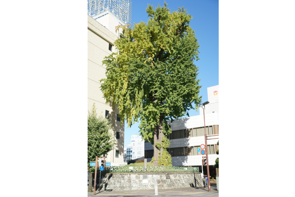 2022年11月2日(水)