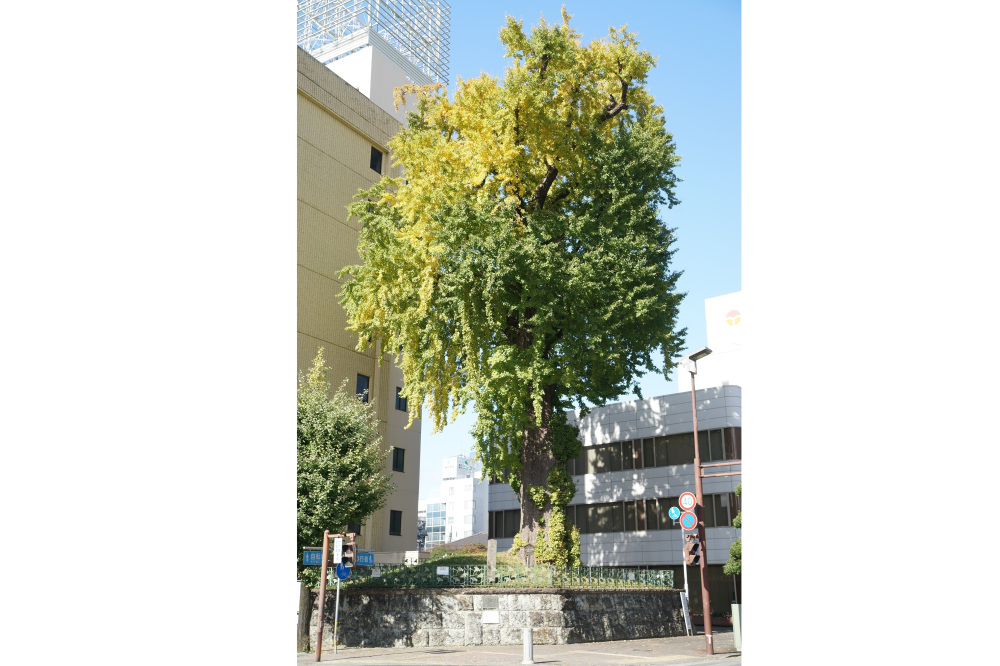 2022年11月5日(土)