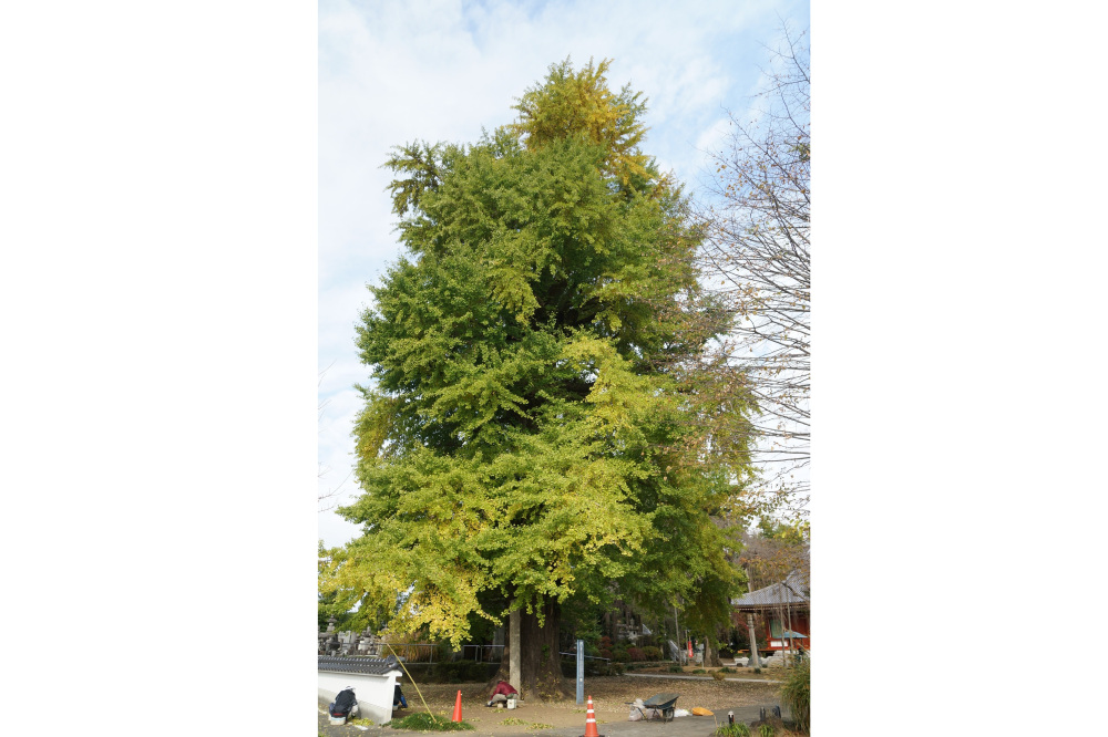 2022年11月07日(月)