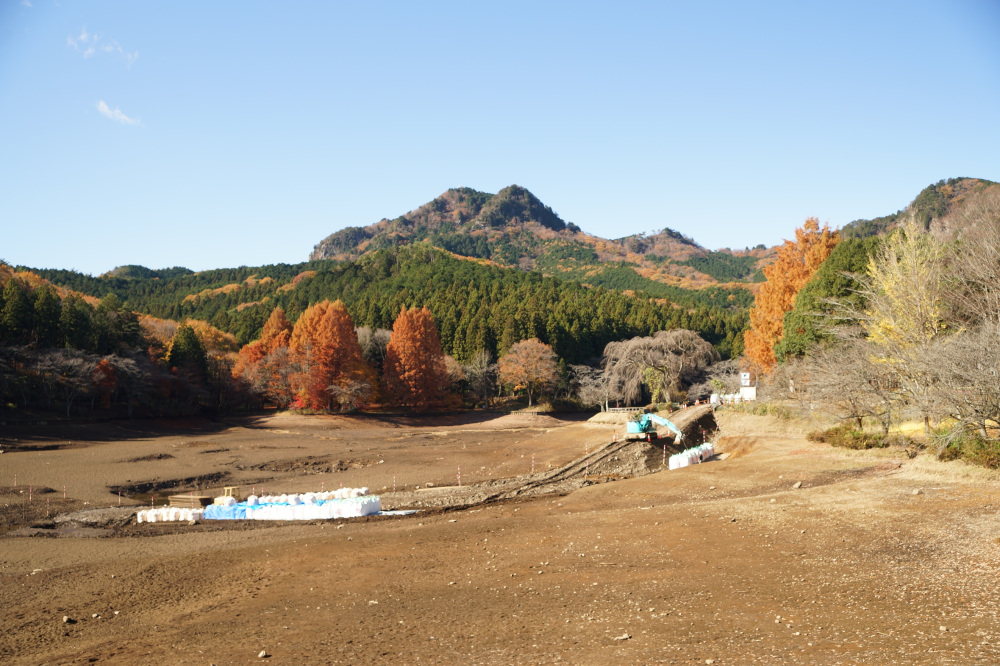 2022年11月24日(木)