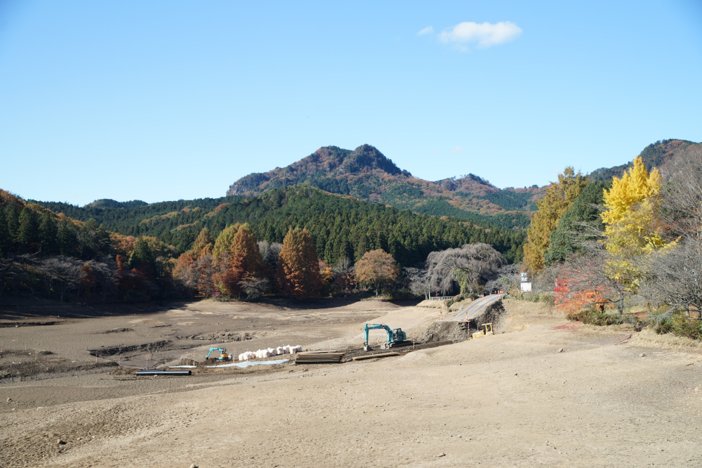 2022年11月14日(月)