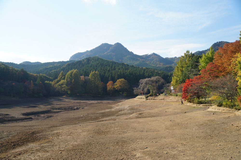 2022年11月3日(木)