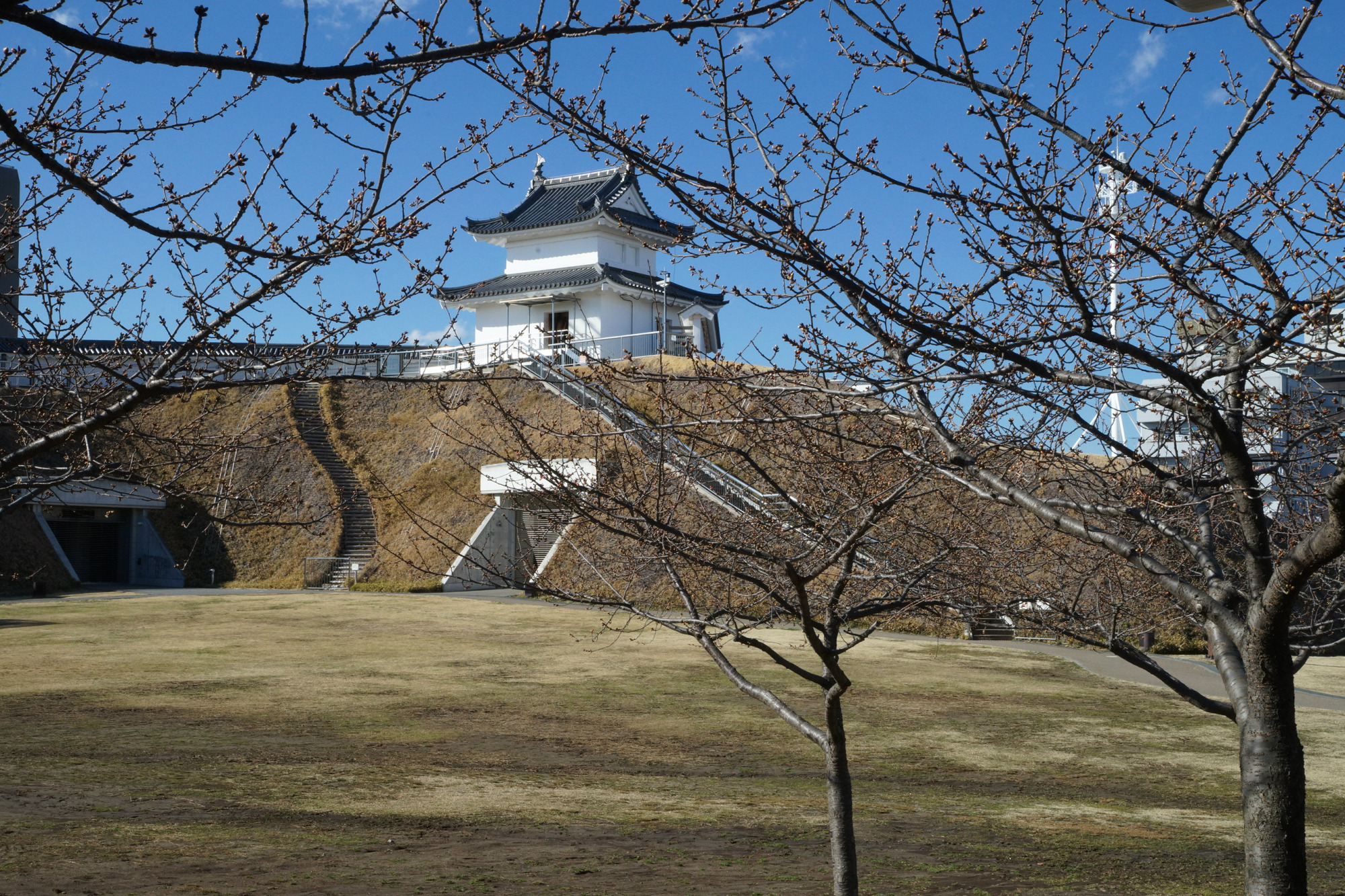 2018年3月1日(木)