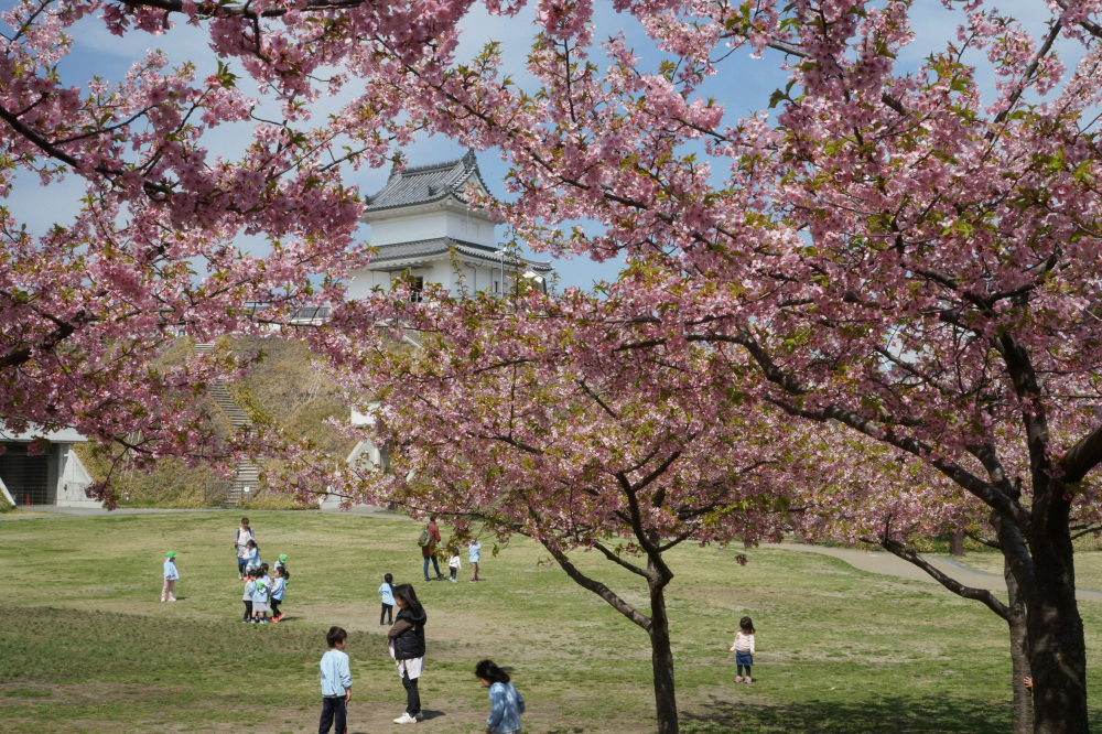 2018年3月27日（火）